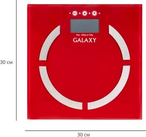 Весы электронные GALAXY LINE GL4851