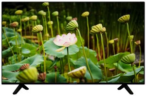 55" Телевизор Thomson T55USL7010 2022 HDR